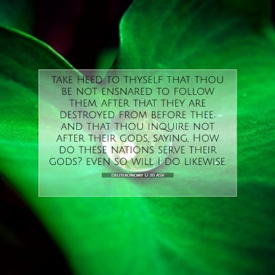 Picture 07 - Deuteronomy 12:30 ASV - take heed to thyself that thou be not ensnared to - Bible Verse Picture
