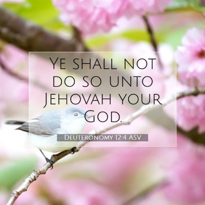 Picture 07 - Deuteronomy 12:4 ASV - Ye shall not do so unto Jehovah your - Bible Verse Picture
