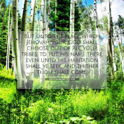 Picture 07 - Deuteronomy 12:5 ASV - But unto the place which Jehovah your God shall - Bible Verse Picture