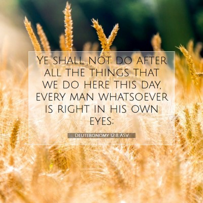 Picture 07 - Deuteronomy 12:8 ASV - Ye shall not do after all the things that we do - Bible Verse Picture