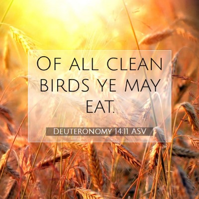 Picture 07 - Deuteronomy 14:11 ASV - Of all clean birds ye may - Bible Verse Picture