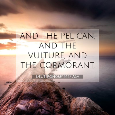 Picture 07 - Deuteronomy 14:17 ASV - and the pelican, and the vulture, and the - Bible Verse Picture