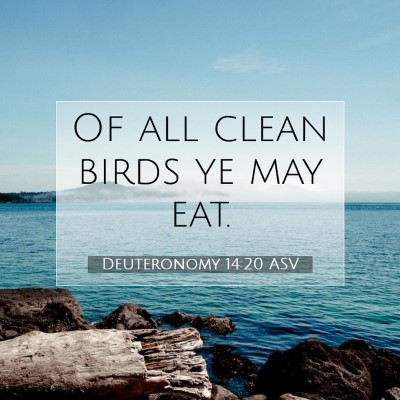 Picture 07 - Deuteronomy 14:20 ASV - Of all clean birds ye may - Bible Verse Picture