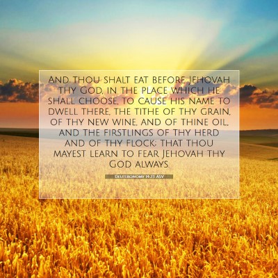 Picture 07 - Deuteronomy 14:23 ASV - And thou shalt eat before Jehovah thy God, in the - Bible Verse Picture