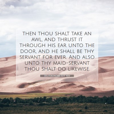 Picture 07 - Deuteronomy 15:17 ASV - then thou shalt take an awl, and thrust it - Bible Verse Picture