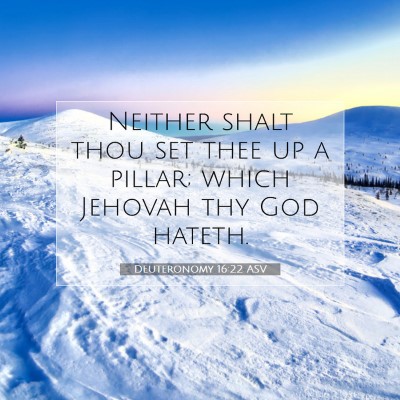 Picture 07 - Deuteronomy 16:22 ASV - Neither shalt thou set thee up a pillar; which - Bible Verse Picture
