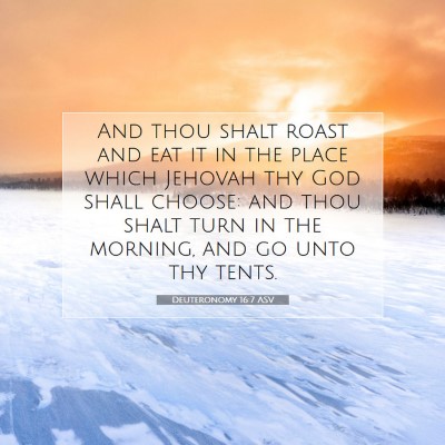 Picture 07 - Deuteronomy 16:7 ASV - And thou shalt roast and eat it in the place - Bible Verse Picture