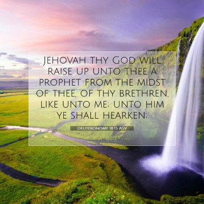 Picture 07 - Deuteronomy 18:15 ASV - Jehovah thy God will raise up unto thee a prophet - Bible Verse Picture