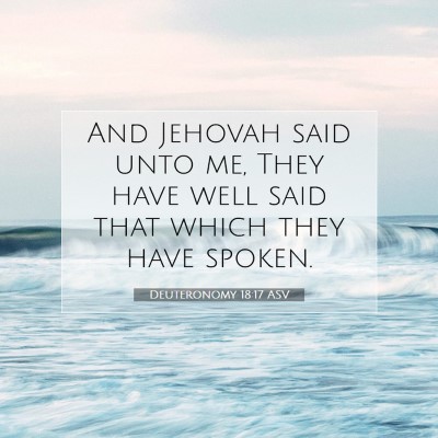 Picture 07 - Deuteronomy 18:17 ASV - And Jehovah said unto me, They have well said - Bible Verse Picture