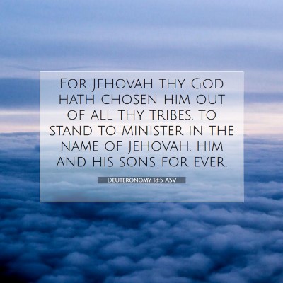 Picture 07 - Deuteronomy 18:5 ASV - For Jehovah thy God hath chosen him out of all - Bible Verse Picture