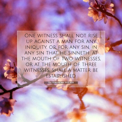 Picture 07 - Deuteronomy 19:15 ASV - One witness shall not rise up against a man for - Bible Verse Picture