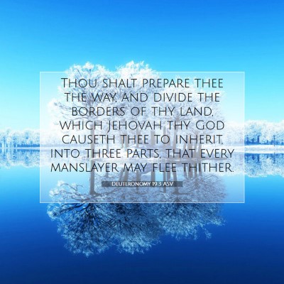 Picture 07 - Deuteronomy 19:3 ASV - Thou shalt prepare thee the way, and divide the - Bible Verse Picture