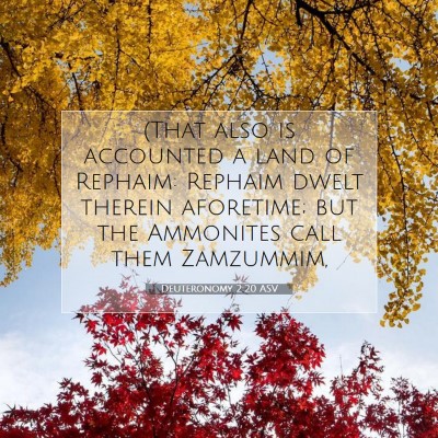 Picture 07 - Deuteronomy 2:20 ASV - (That also is accounted a land of Rephaim: - Bible Verse Picture