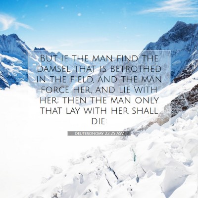 Picture 07 - Deuteronomy 22:25 ASV - But if the man find the damsel that is betrothed - Bible Verse Picture