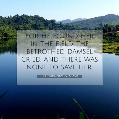 Picture 07 - Deuteronomy 22:27 ASV - for he found her in the field, the betrothed - Bible Verse Picture