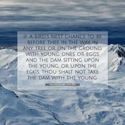 Picture 07 - Deuteronomy 22:6 ASV - If a bird's nest chance to be before thee in the - Bible Verse Picture