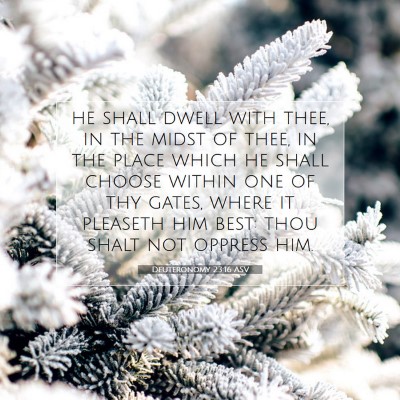 Picture 07 - Deuteronomy 23:16 ASV - he shall dwell with thee, in the midst of thee, - Bible Verse Picture
