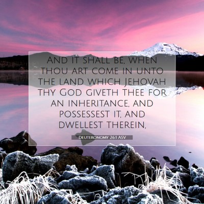Picture 07 - Deuteronomy 26:1 ASV - And it shall be, when thou art come in unto the - Bible Verse Picture