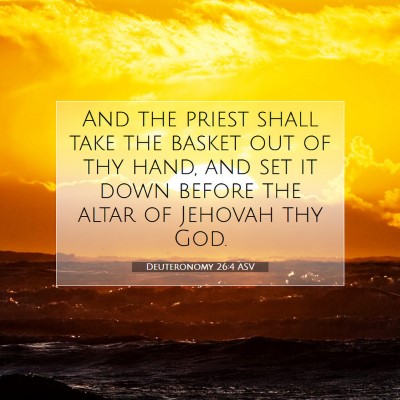 Picture 07 - Deuteronomy 26:4 ASV - And the priest shall take the basket out of thy - Bible Verse Picture