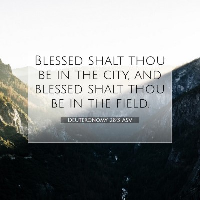Picture 07 - Deuteronomy 28:3 ASV - Blessed shalt thou be in the city, and blessed - Bible Verse Picture