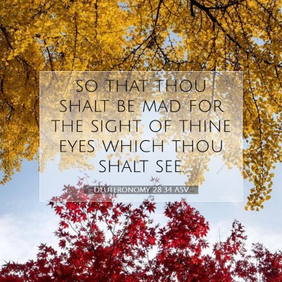 Picture 07 - Deuteronomy 28:34 ASV - so that thou shalt be mad for the sight of thine - Bible Verse Picture