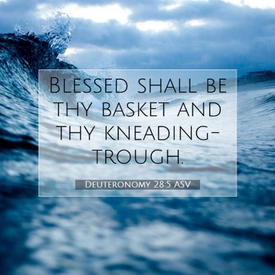 Picture 07 - Deuteronomy 28:5 ASV - Blessed shall be thy basket and thy - Bible Verse Picture