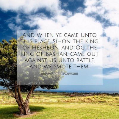 Picture 07 - Deuteronomy 29:7 ASV - And when ye came unto this place, Sihon the king - Bible Verse Picture