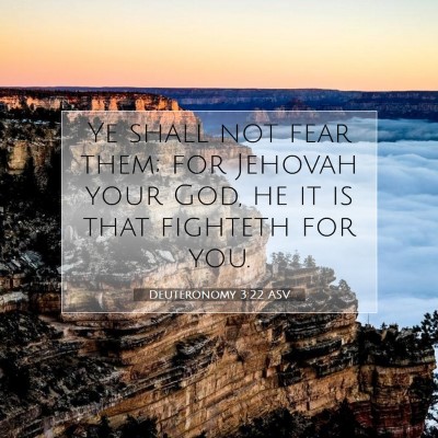 Picture 07 - Deuteronomy 3:22 ASV - Ye shall not fear them; for Jehovah your God, he - Bible Verse Picture