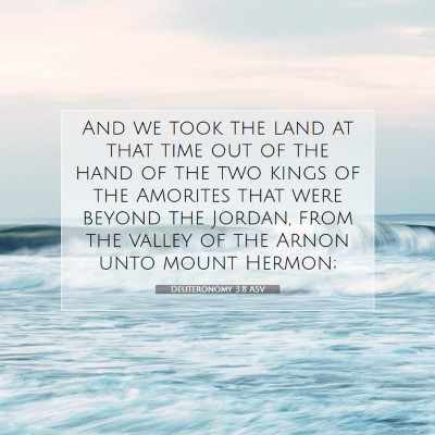 Picture 07 - Deuteronomy 3:8 ASV - And we took the land at that time out of the hand - Bible Verse Picture