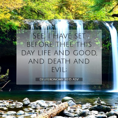 Picture 07 - Deuteronomy 30:15 ASV - See, I have set before thee this day life and - Bible Verse Picture