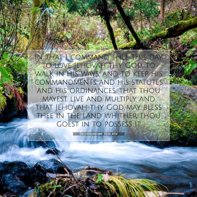 Picture 07 - Deuteronomy 30:16 ASV - in that I command thee this day to love Jehovah - Bible Verse Picture