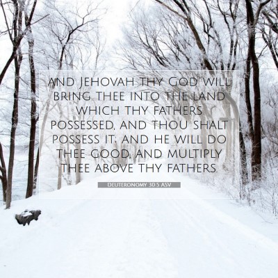 Picture 07 - Deuteronomy 30:5 ASV - and Jehovah thy God will bring thee into the land - Bible Verse Picture