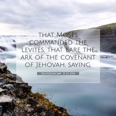 Picture 07 - Deuteronomy 31:25 ASV - that Moses commanded the Levites, that bare the - Bible Verse Picture