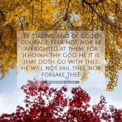 Picture 07 - Deuteronomy 31:6 ASV - Be strong and of good courage, fear not, nor be - Bible Verse Picture