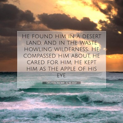 Picture 07 - Deuteronomy 32:10 ASV - He found him in a desert land, And in the waste - Bible Verse Picture
