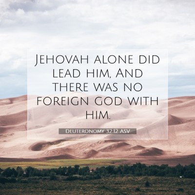 Picture 07 - Deuteronomy 32:12 ASV - Jehovah alone did lead him, And there was no - Bible Verse Picture