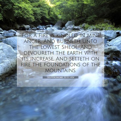 Picture 07 - Deuteronomy 32:22 ASV - For a fire is kindled in mine anger, And burneth - Bible Verse Picture