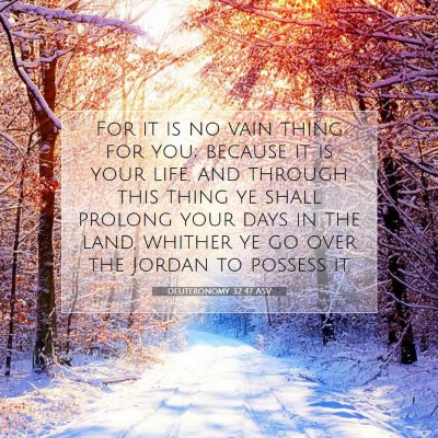 Picture 07 - Deuteronomy 32:47 ASV - For it is no vain thing for you; because it is - Bible Verse Picture