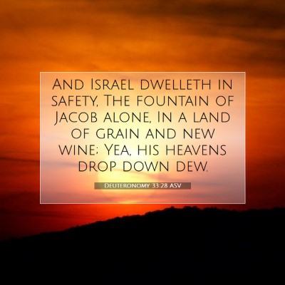 Picture 07 - Deuteronomy 33:28 ASV - And Israel dwelleth in safety, The fountain of - Bible Verse Picture
