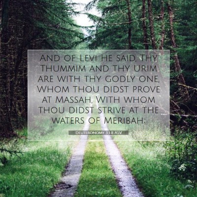 Picture 07 - Deuteronomy 33:8 ASV - And of Levi he said, Thy Thummim and thy Urim are - Bible Verse Picture