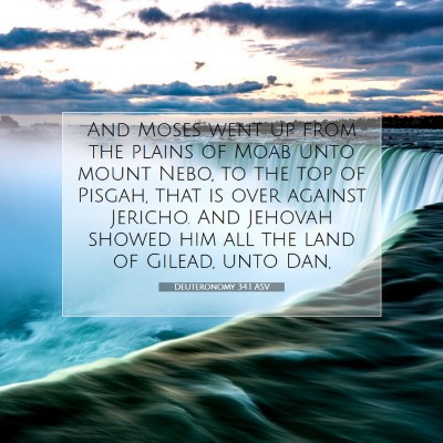 Picture 07 - Deuteronomy 34:1 ASV - And Moses went up from the plains of Moab unto - Bible Verse Picture