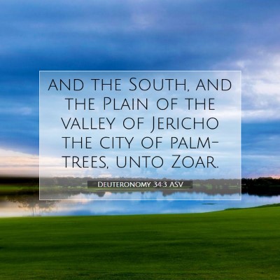 Picture 07 - Deuteronomy 34:3 ASV - and the South, and the Plain of the valley of - Bible Verse Picture