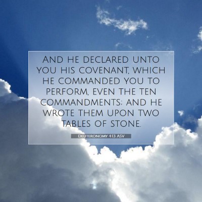 Picture 07 - Deuteronomy 4:13 ASV - And he declared unto you his covenant, which he - Bible Verse Picture