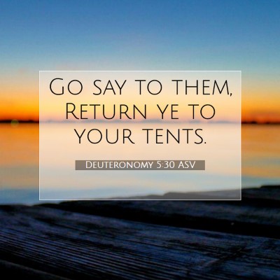 Picture 07 - Deuteronomy 5:30 ASV - Go say to them, Return ye to your - Bible Verse Picture