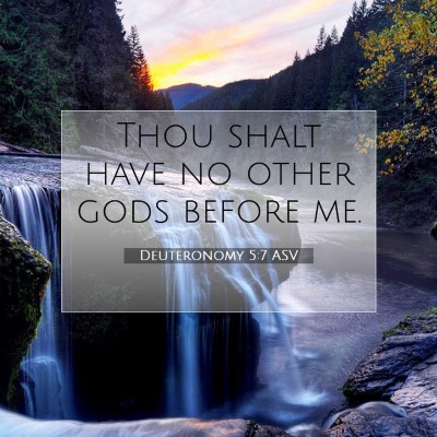 Picture 07 - Deuteronomy 5:7 ASV - Thou shalt have no other gods before - Bible Verse Picture