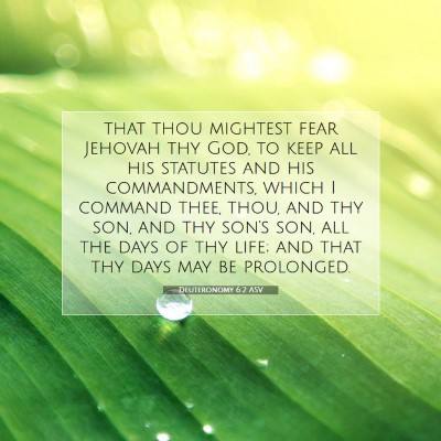 Picture 07 - Deuteronomy 6:2 ASV - that thou mightest fear Jehovah thy God, to keep - Bible Verse Picture