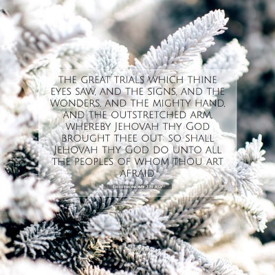 Picture 07 - Deuteronomy 7:19 ASV - the great trials which thine eyes saw, and the - Bible Verse Picture