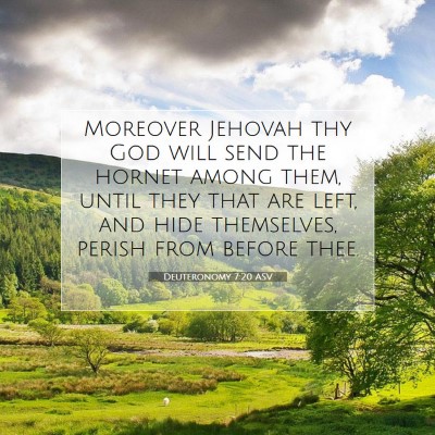Picture 07 - Deuteronomy 7:20 ASV - Moreover Jehovah thy God will send the hornet - Bible Verse Picture