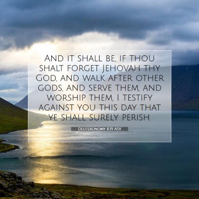 Picture 07 - Deuteronomy 8:19 ASV - And it shall be, if thou shalt forget Jehovah thy - Bible Verse Picture