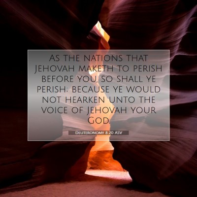 Picture 07 - Deuteronomy 8:20 ASV - As the nations that Jehovah maketh to perish - Bible Verse Picture